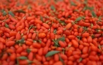 Vietnam Goji Berries with best quality for you