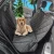 Import Waterproof Dog Car Seat Cover for Cat Pet SUV Door Back Rear Bench Hammock from China