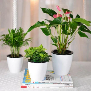 White color plant automatic watering flower pot root self auto watering planter pots container