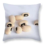 White Cowpea/Black Eye Bean (Vigna Beans)