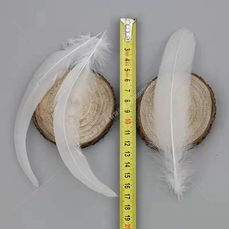White  Rooster Tail Feather