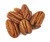Whole Pecan nut in shell