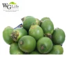 whole sale sweet new fresh green raw Betel nut / Areca nut