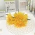 Import Wholesale 2020 new style fashion 5 dragon claw chrysanthemums competitive price Wedding flower from China