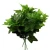 Import Wholesale best quality artificial Indoor outdoor green ornamental foliage plants from China