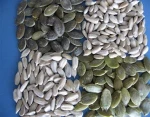 Wholesale GWS Pumpkin Seeds Kernels In Austria