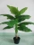 Import Wholesale high quality artificial plant green grass pot for indoor decoration from China