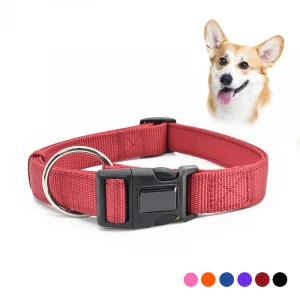 Wholesale multi-colors heavy duty dog collar tactical nylon neck collar