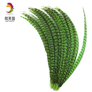 Wholesale Natural Dyed Zebra Pheasant Feathers for Sale