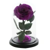 wholesale preserved galaxy rose in glass dome with led forever eternal rose flower for st valentine gifts