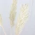 Import Wholesale real Eternal preserved trim flowers foliage Lasting Long Dried Sorghum from China