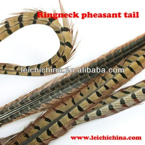 wholesale ringneck pheasant tail fly tying feathers