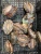 Import Wholesale Shellfish Dried/Frozen Abalone from China