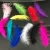 Import Wholesales 100 pcs Colored Feather for Party and Event Celebration from China