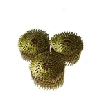 Wholesales smooth copper coil roofing nails with umbrella head pvc color coating coil