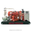 With CHP gas engine power generators biogas LPG biomass 12-250 KW natural gas generator price