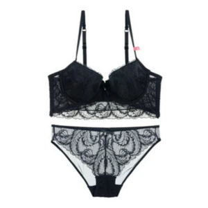 Women Push Up Lace Bra and Panty Set See-Through Lace Underwear Set