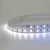 Import Ws2814 Ws2812B Sk6812 Addressable Rgbw Led Strip from China
