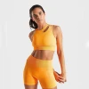 Yoga wear sportswear sports bra and women yoga short sets yoga short bra top set