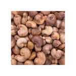 Raw Cashew Nuts offered at discount price for snack food and nut processing industries