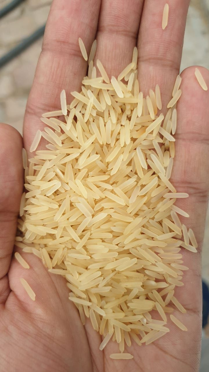 Buy Rice from H&R International, India | Tradewheel.com