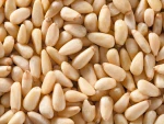 Pine Nuts For Sale