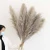 Import Amazon Top Seller Decorative Flowers and Plants Wedding Decor Tall Dried Pampas Grass from China