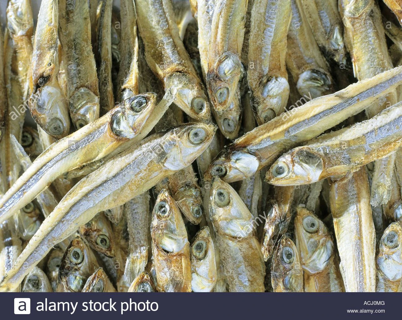 Buy Wide Range Of Sterilized Dry Fish, Dry Anchovy, Shrimps, Ribbon