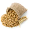 Premium Quality Dried Hulled Barley Malt and Seeds Top Style Animal Feed for Optimal Nutrition