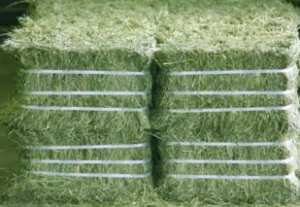 Alfalfa Hay For Sell
