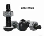Steel structure torsional shear bolt