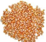 Yellow Corn for Feed