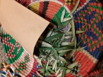 Olive leaves