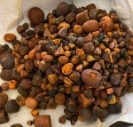 Cow/Ox Gallstones