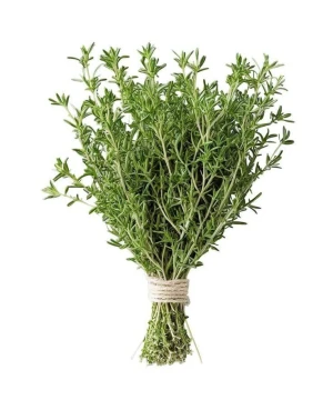 Premium quality dried Thyme