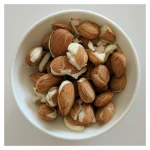 Wholesale Best price High impact Bitter Apricots Kernels