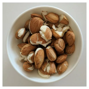 Wholesale Best price High impact Bitter Apricots Kernels