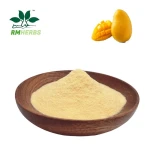 Premium Mango Powder