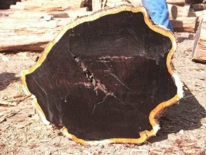 Ebony (Black Ebony) Timber