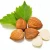 Import Wholesale Best price High impact Bitter Apricots Kernels from Philippines