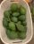 Import Organic Hass Avocado from South Africa