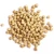 Import Origin Raw Chickpeas Hot Sale Dried Chickpeas Rich Protein Export Grade Chickpeas from Malaysia