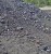 Import Energy Coal from Indonesia