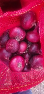 Fresh onion