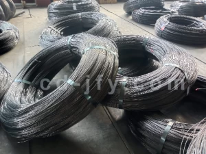 Steel wire & wire rope