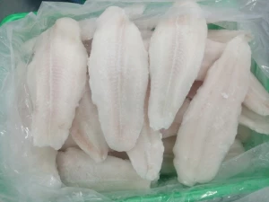 Frozen Pangasius Fillet