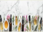 High Quality Essential Oil, Carrier Oil in Best Discounts