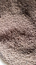 TIGER NUTS