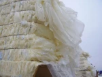 HDPE film, HDPE roll scrap, LDPE film/roll, roll