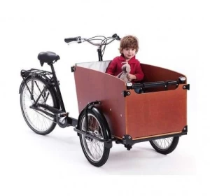 Electric Family Cargo Bike1
